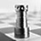 customationcases_s_kgi_rook